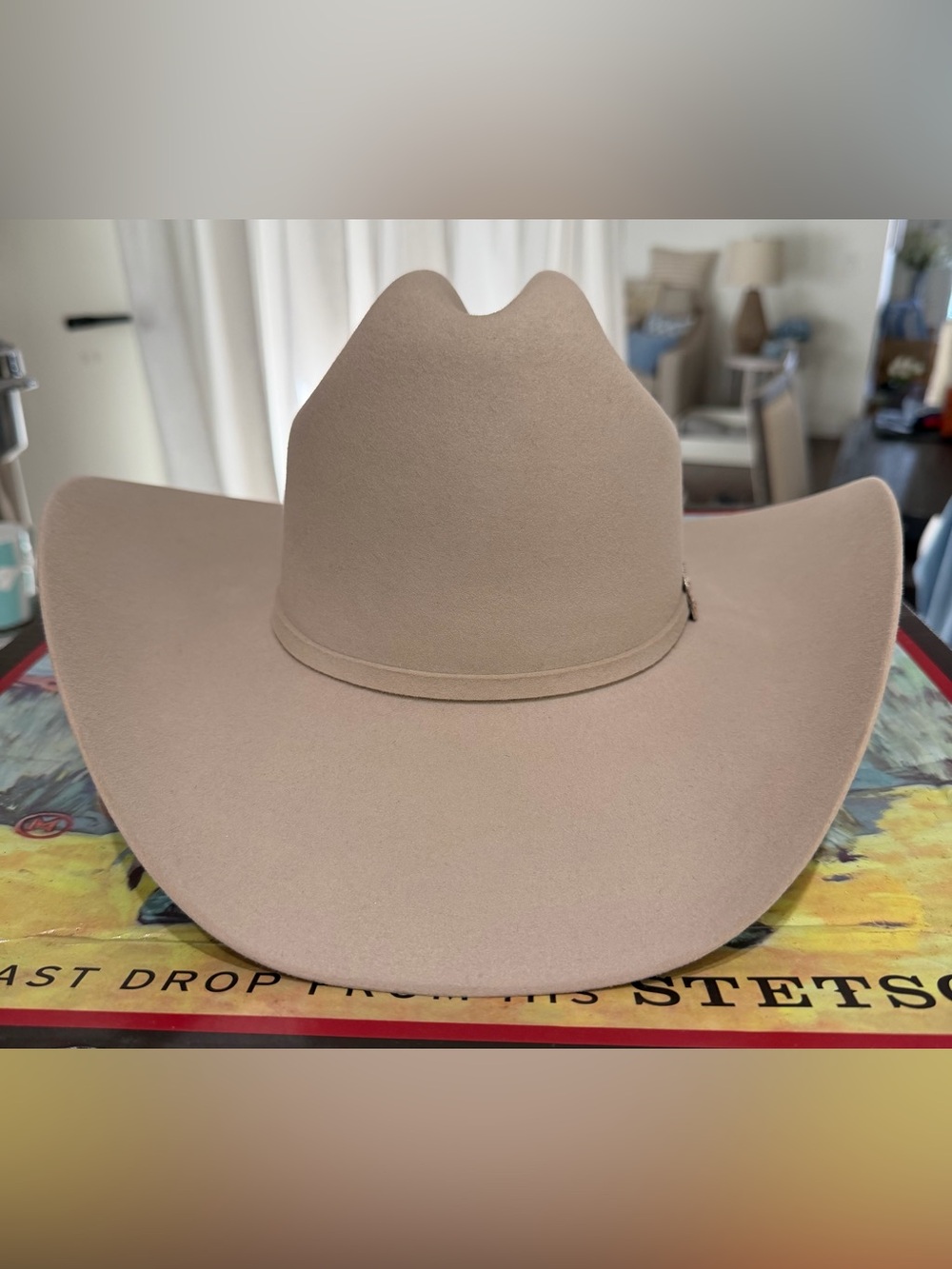 NIB Stetson Skyline 6X Silverbelly Fur Felt Cowboy Hat Western 6 3/4 - Picture 3 of 13